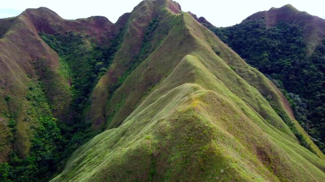 Cerro los Picachos - Cocle Panama - monta&ntilde;a