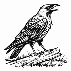 Detailed black and white illustration of a raven perched on a broken branch with grass
