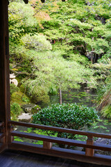 永観堂禅林寺の初秋の庭園の風景