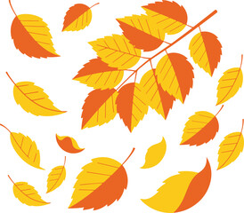 Naklejka premium Autumn leaves vector illustration