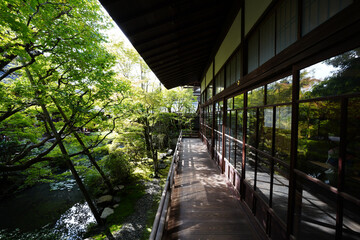 永観堂禅林寺の初秋の庭園の風景