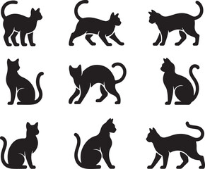 Black feline silhouettes in various poses animal