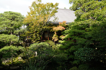 永観堂禅林寺の初秋の庭園の風景