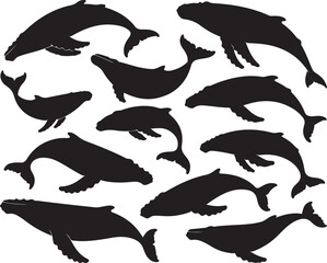Obraz premium Black whale silhouettes swimming gracefully in various poses humpback whale marine life