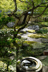 永観堂禅林寺の初秋の庭園の風景