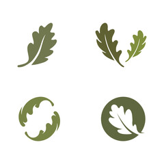 Autumn oak leaf logo design and oak tree logo. With easy and simple vector illustration editing.