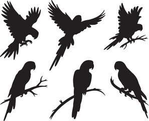 Black silhouette parrots perched flying macaw birds vector