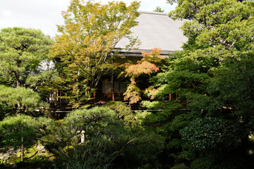 永観堂禅林寺の初秋の庭園の風景