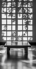 Black and white photos of the interior of the house show square windows that cast distinct shadows on the walls above, highlighting the contrast and architectural details.