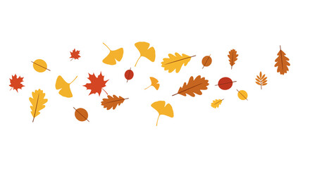 Autumn Leaves Assortment - Vector Illustration