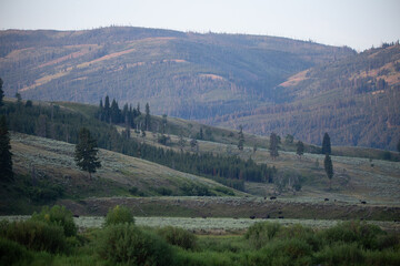 Fototapeta premium Lomond Valley Yellowstone at Sunrise