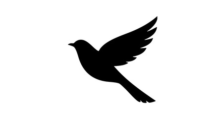 Fototapeta premium Elegant silhouette of a bird in flight, symbolizing freedom and peace.