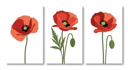 Obraz premium Red Poppy Flower Triptych Minimalist Botanical Art Print