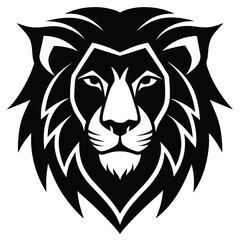 Fototapeta premium head of lion
