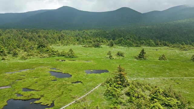 谷地平湿原とワタスゲの群生①　ドローン　日本の山　福島県