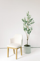 Blank White Wall Chair Studio Office Space Olive Tree