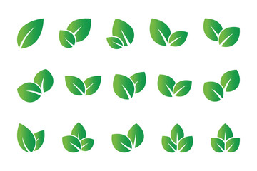Green Leaf Nature Ecology Vector Collection