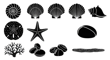 A collection of black and white silhouettes of various seashells, starfish, coral, and rocks isolated on transparent background