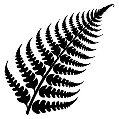 vector illustration of a fern leaf
