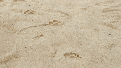 Line of bare footprints on the beach sand     