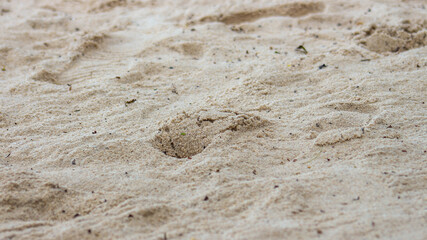 clean and beautiful beach sand background