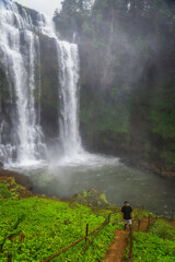 Tad Yuang Waterfall and landscape of natural in southern Laos,Asia
