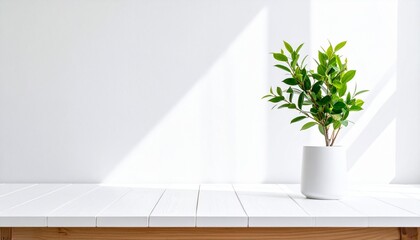 A Leaf light Minimalism Quiet Composition of Green Simplicity Framed by Shadow Porcelain and Natural Pause