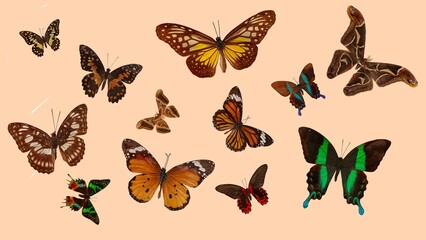 Seamless pattern background with butterflies, fabric, paper, and wallpaper.