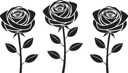 Three black roses with leaves flower white