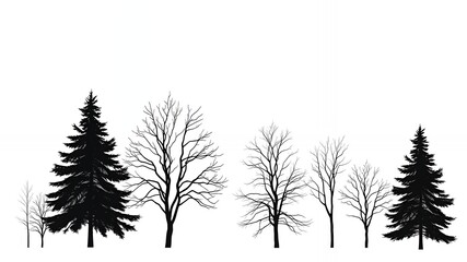Silhouettes of various evergreen and deciduous trees against a white background