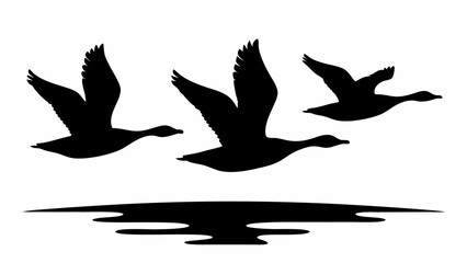 Three ducks in silhouette flying over water creating a reflection on the surface of the water line art © Sidra