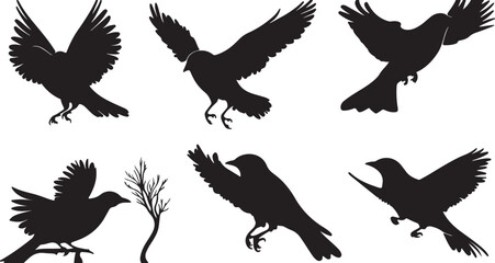 Obraz premium Black Bird Silhouettes in Flight and Perched on Branches