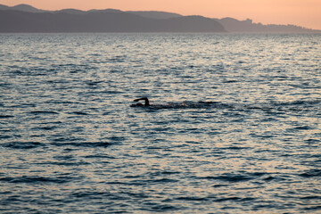 Obraz premium swimming person on the sea during sunset