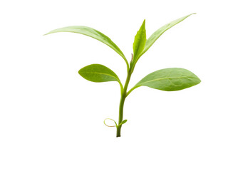 Whimsical watercolor moon and stars pillow for nursery decor