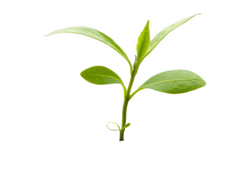 Whimsical watercolor moon and stars pillow for nursery decor