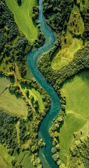 Obraz premium Winding river through vibrant green fields (4)