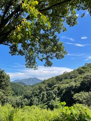 A perfect weather scene of the Korean countryside