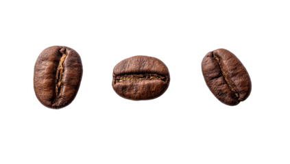 Three coffee beans, close-up, against a black background.  Each bean shows a distinct, slightly curved oval shape, dark brown color, and a noticeable groove