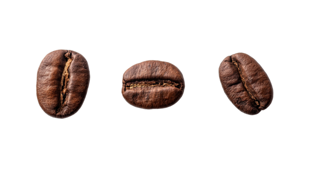 Three coffee beans, close-up, against a black background.  Each bean shows a distinct, slightly curved oval shape, dark brown color, and a noticeable groove