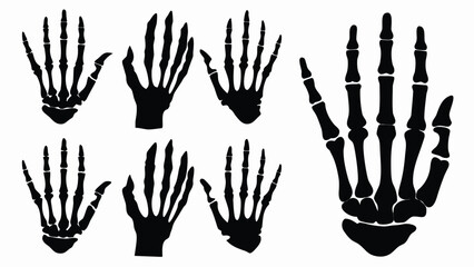 hand drawn vector