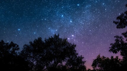 Naklejka premium Starry night sky above silhouette trees.