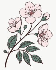 Delicate pink cherry blossoms with green leaves on a branch in a simple line art style
