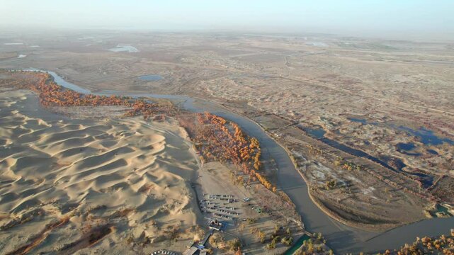 Drone view of lake and river in desert with Populus euphratica forest with yellow golden foliage on sunny autumn day in Xinjiang, China, aerial view of Tata Secret Realm in Yuli, 4k real time footage.