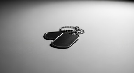 Metallic military dog tags on a grey surface symbolize service, remembrance, and sacrifice. Ideal for military, veterans, and patriotic themes.