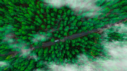 Aerial view of dark green forest road and white electric car Natural landscape and elevated roads Adventure travel and transportation and environmental protection concept	