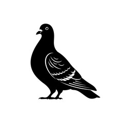 Vector art of a pigeon isolated on white background is standing in profile