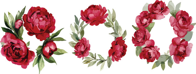 Watercolor Red Peony Flower Wreaths and Bouquet on a White Background