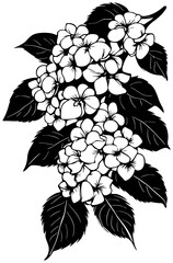 Hydrangea flower corner border silhouette drawing