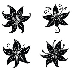 Fototapeta premium Honeysuckle Silhouette set with Flowing Tubular Petals Black Floral Vector Graphic Design Element