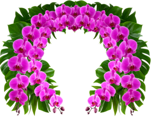Cluster of Magenta Orchids with Tropical Leaves  Floral PNG Cutout